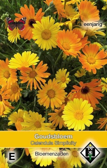 Pot Marigold Simplicity (Calendula) 150 seeds HE